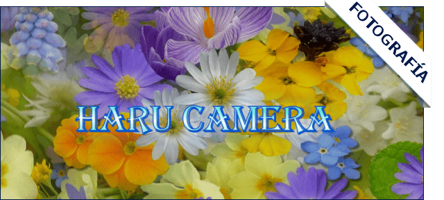 Haru Camera